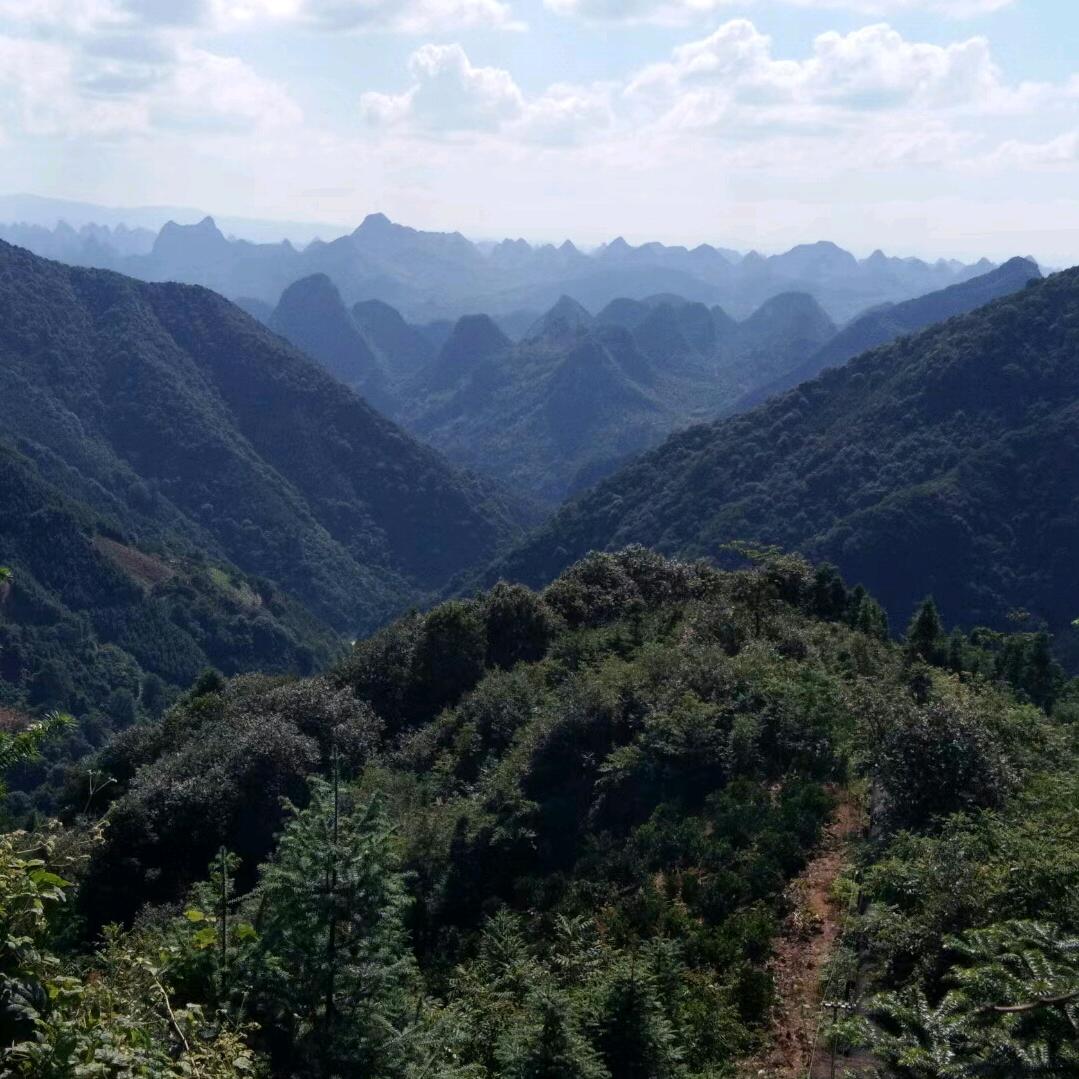 迷茫的人生，
