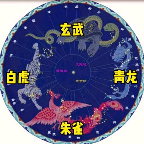 面朝大海