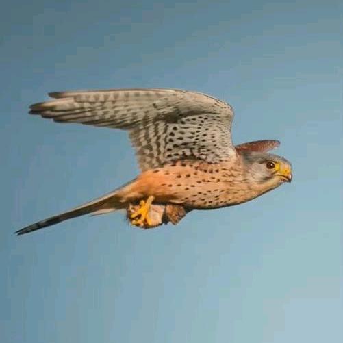 80后的快乐生活