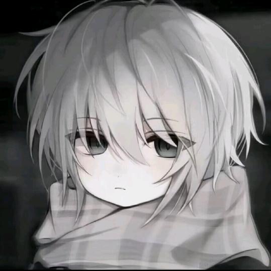 宠轩日记