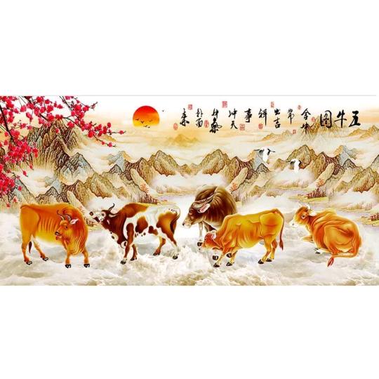 泽霖