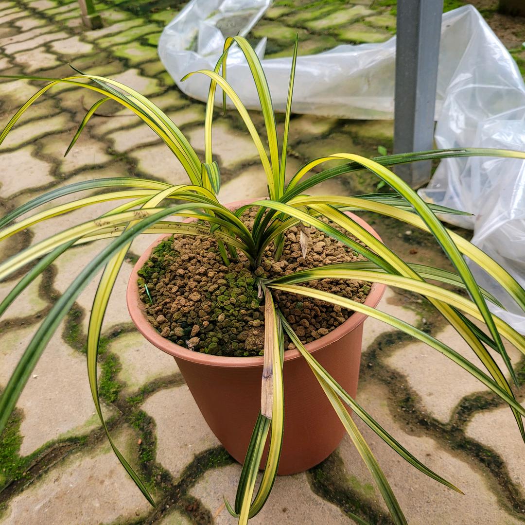 宜昌三峡宇晨兰苑方忠权