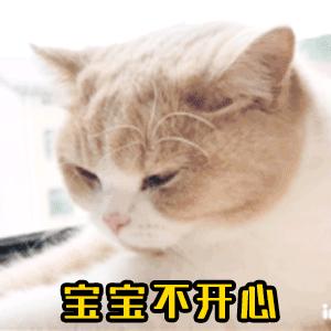 老何