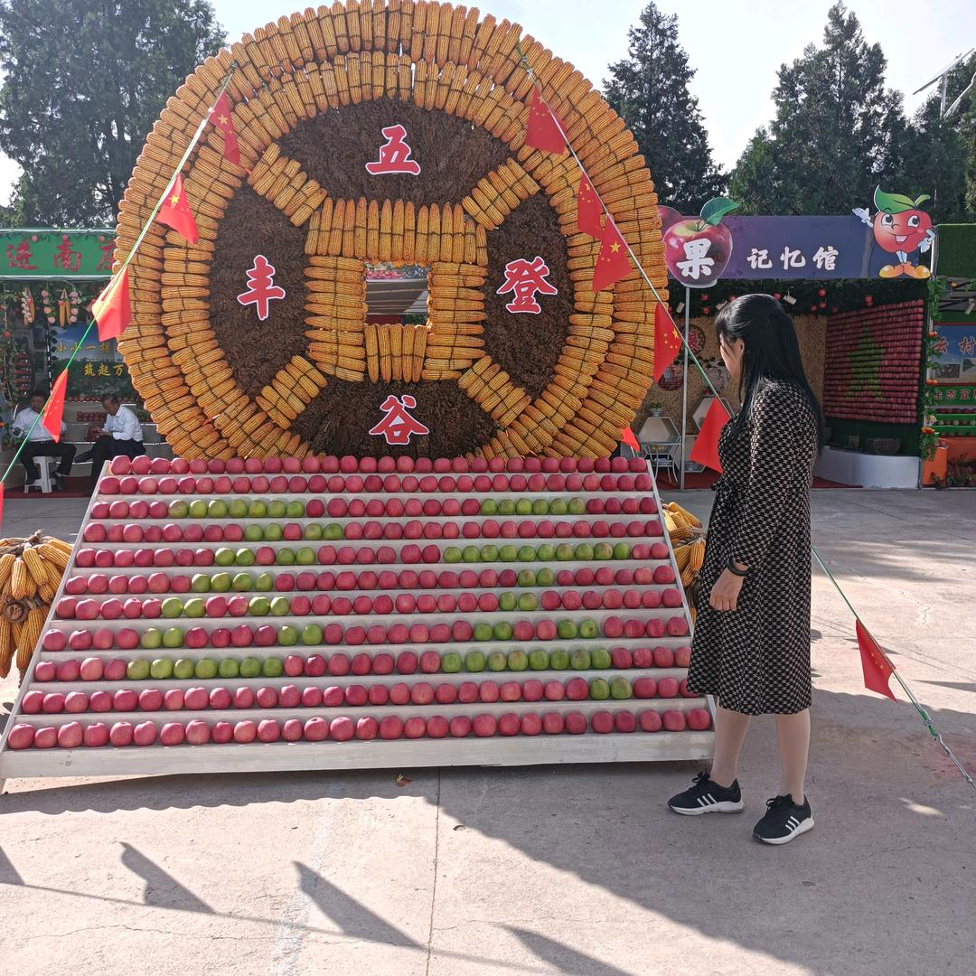 揣玉