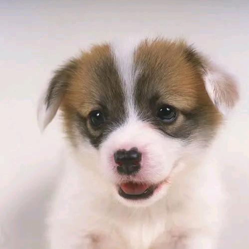 @听雨✔煮酒☞