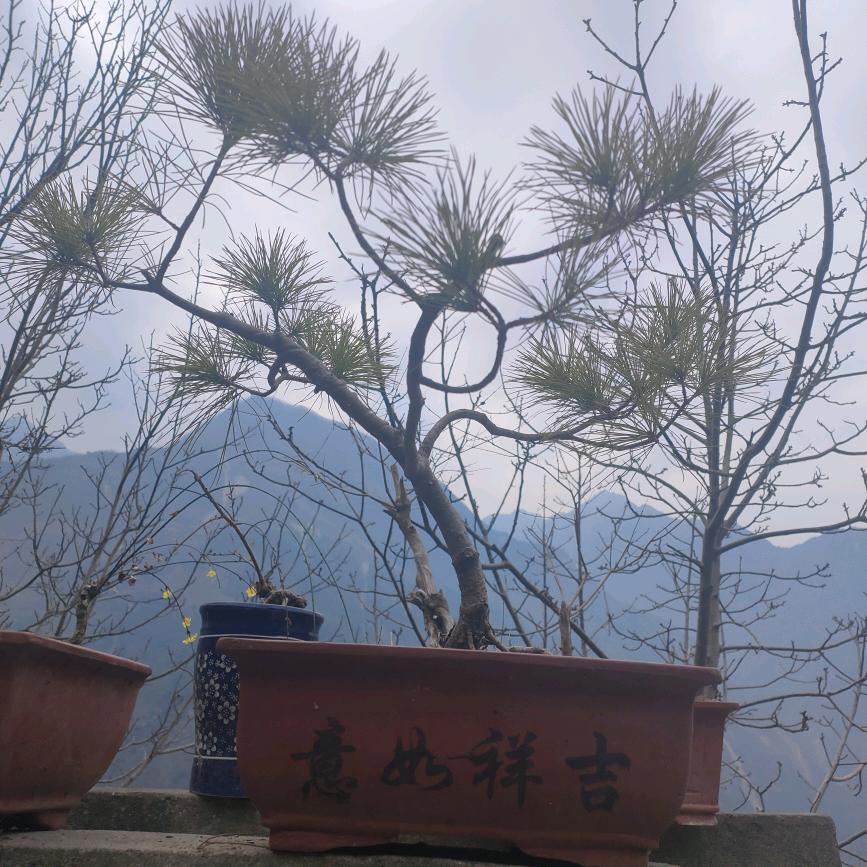 小明
