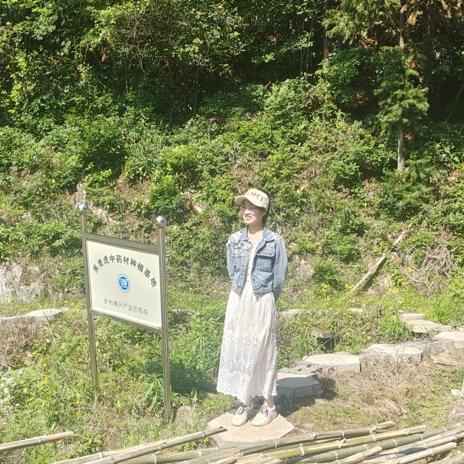 山沟沟里的黄精