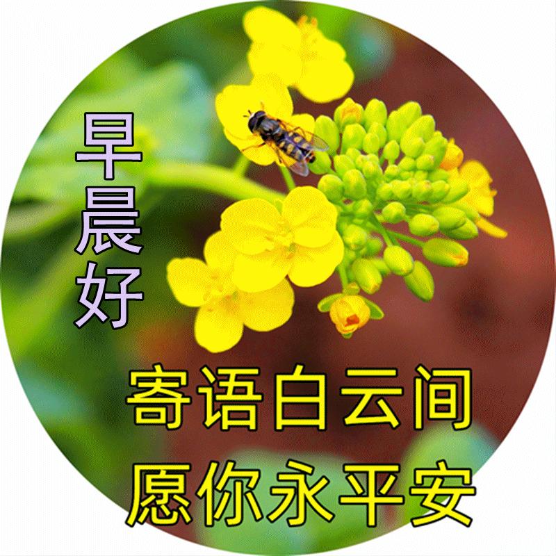 亿意情缘