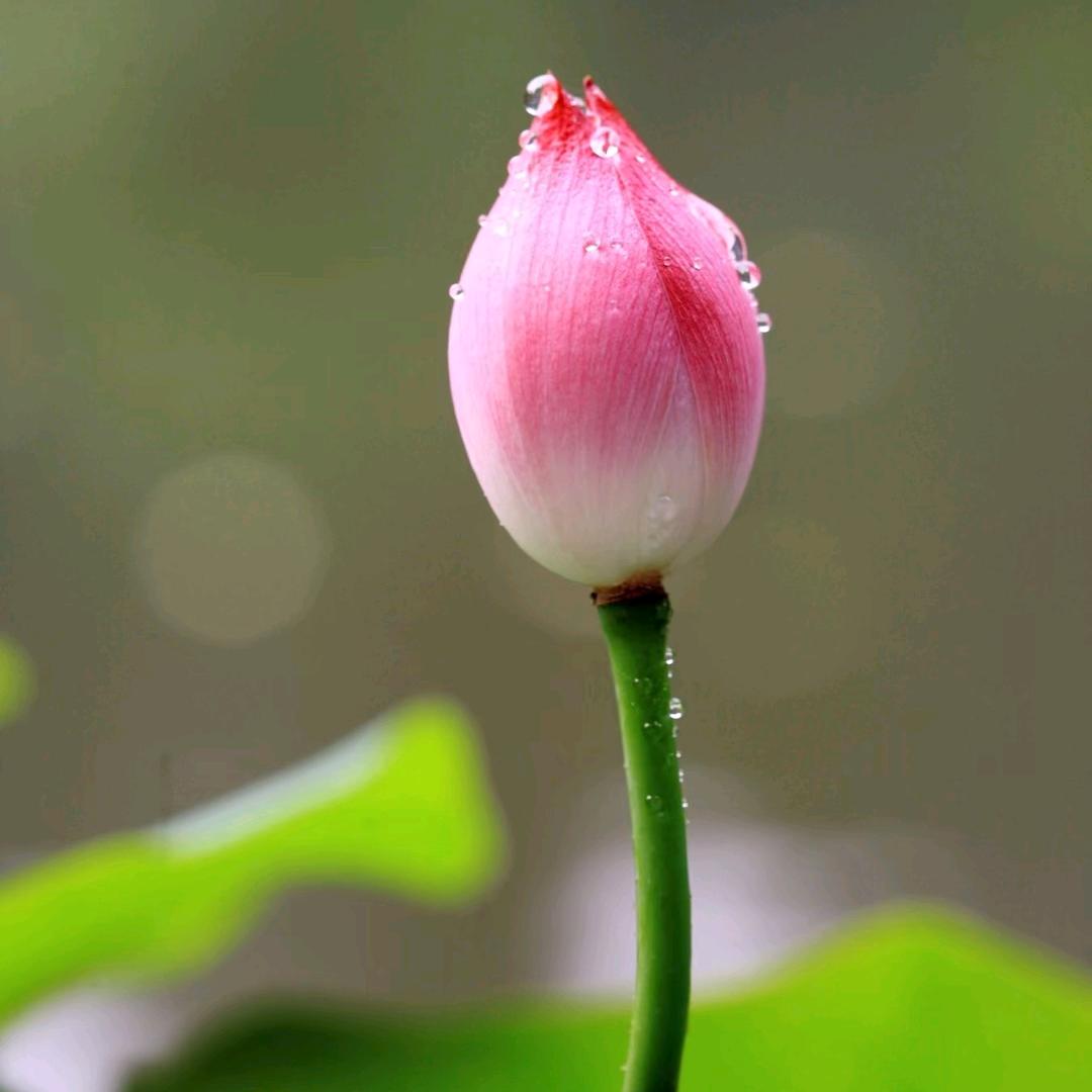 💞清允℘࿐ᩚ