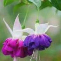 阳光下的豁然724