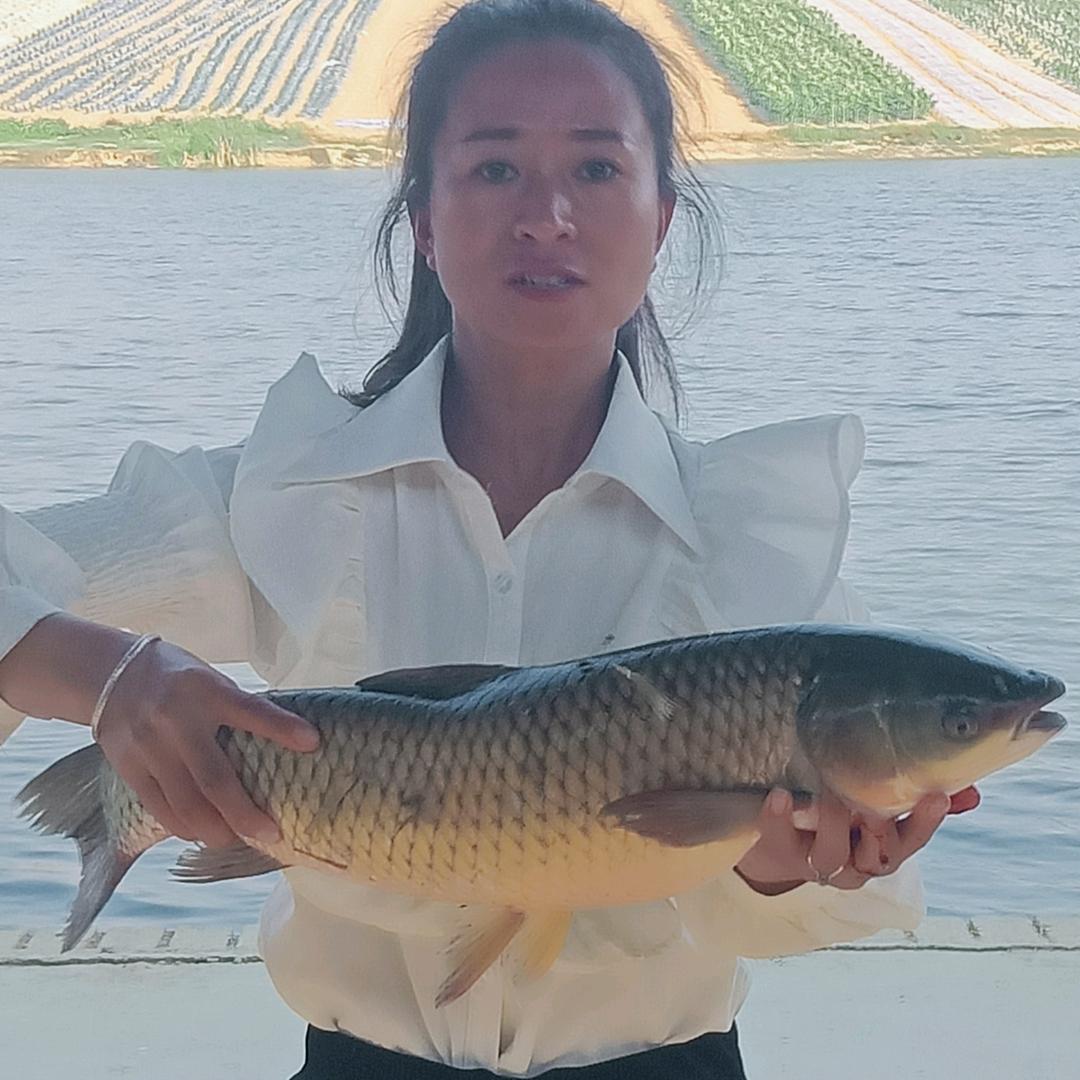 文山《三角塘塘主》