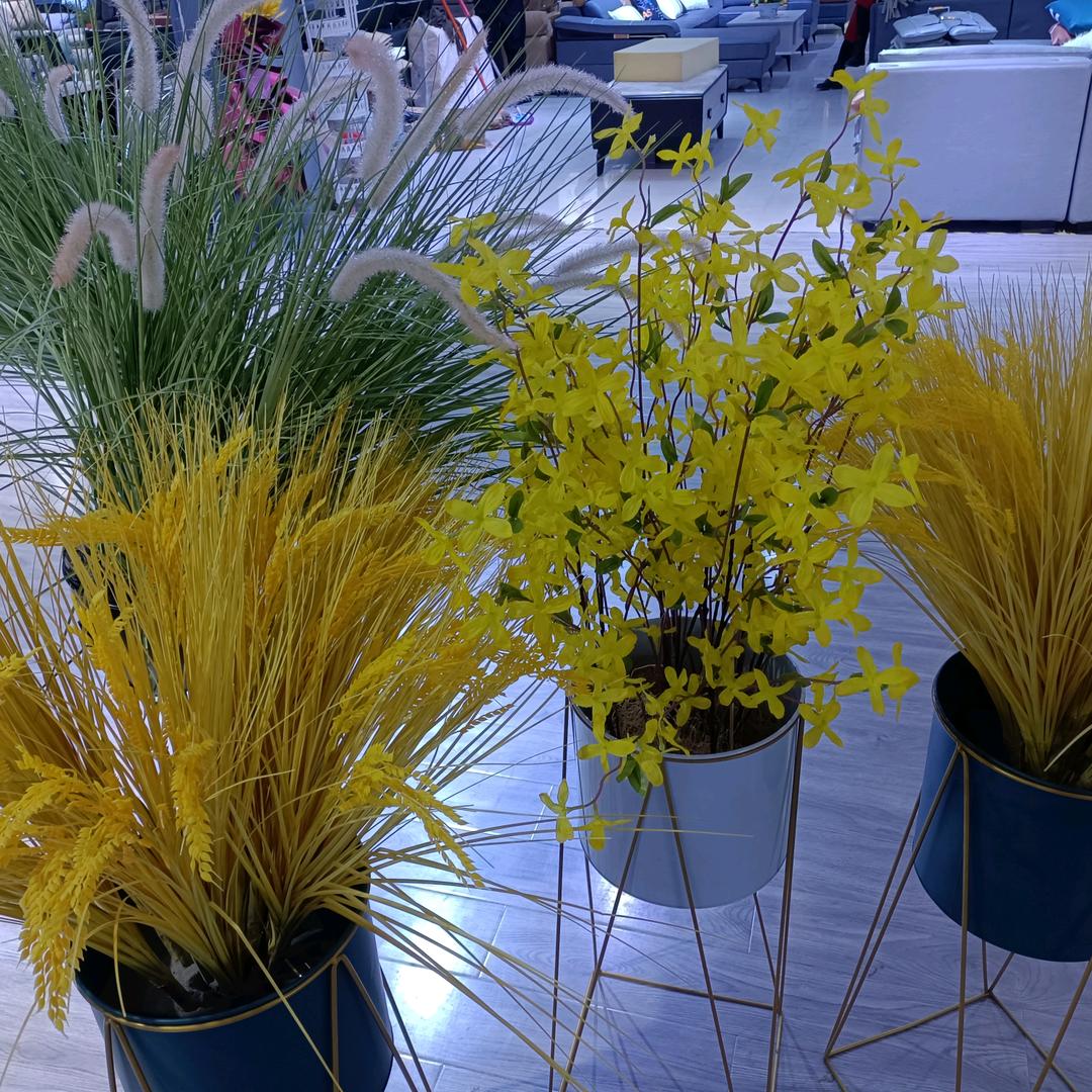 固欧家具（快乐一生）