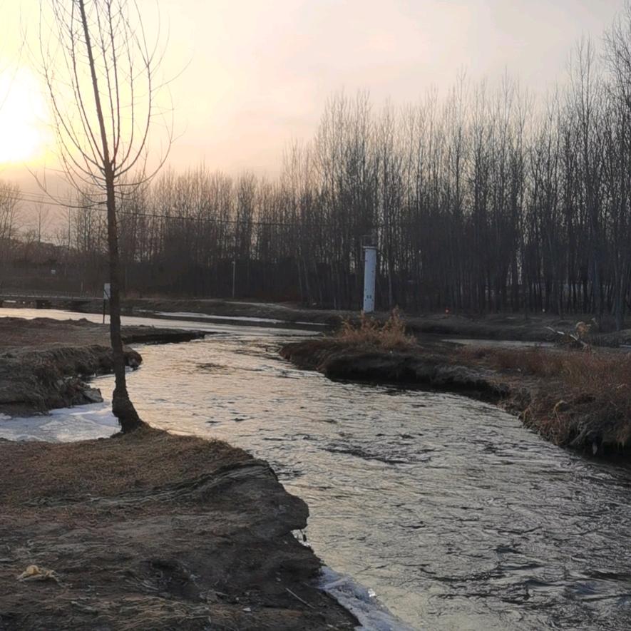 叶落枝残雪满天