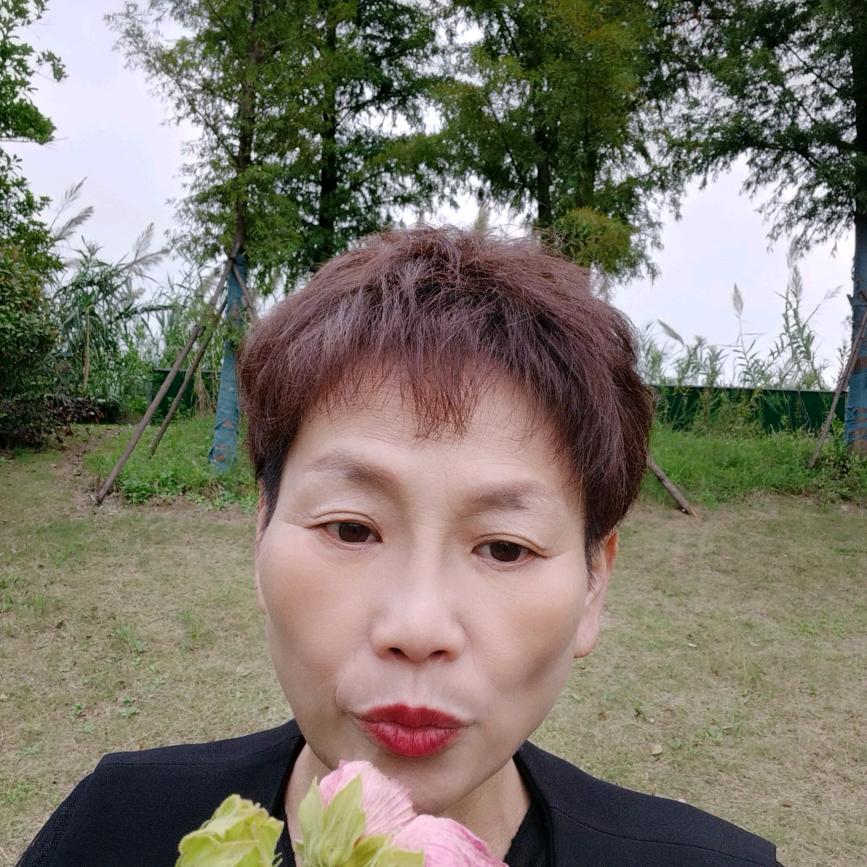 董姐