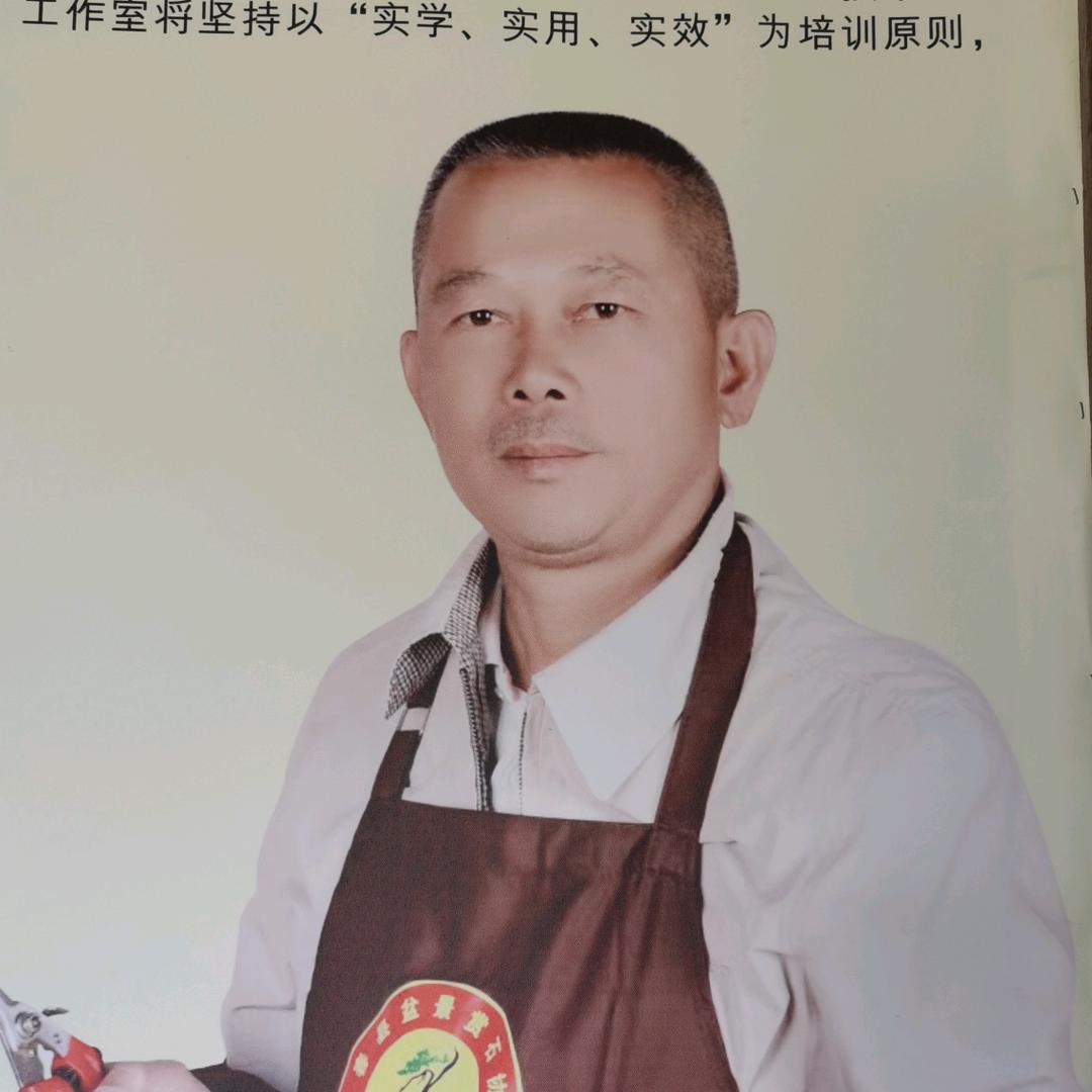 华辰盆景