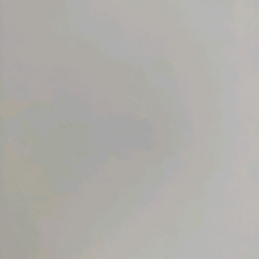 如魅随行