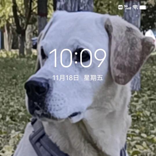 杨旺仔