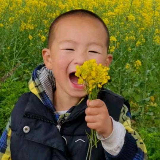 我买鹅打三太子
