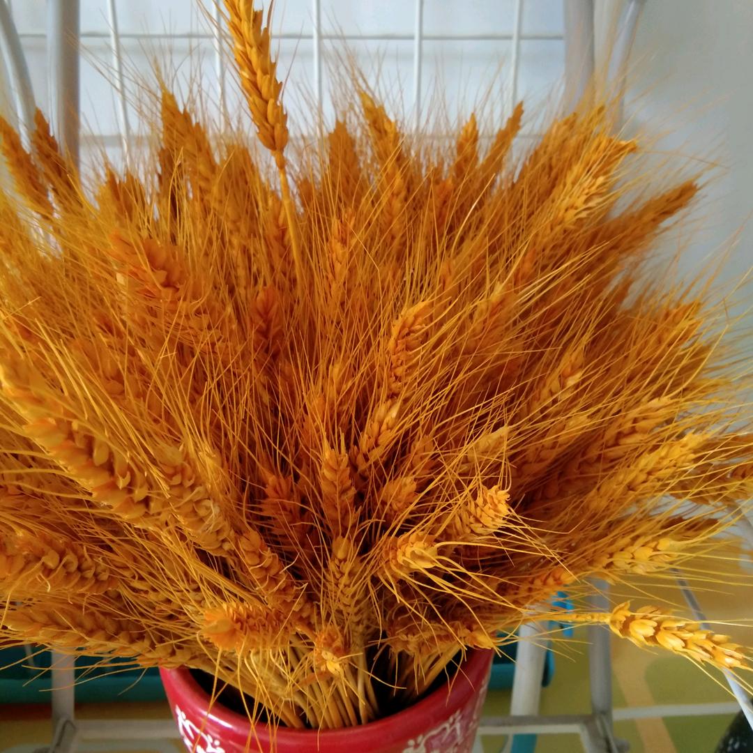 悦享丹东旅行篇