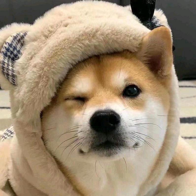 来一碗疯蜜