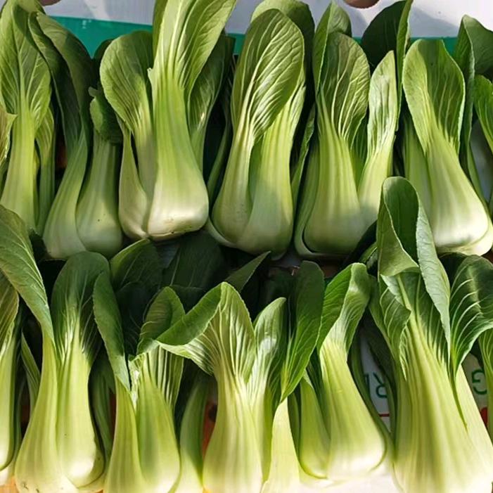 晟茂荣商贸