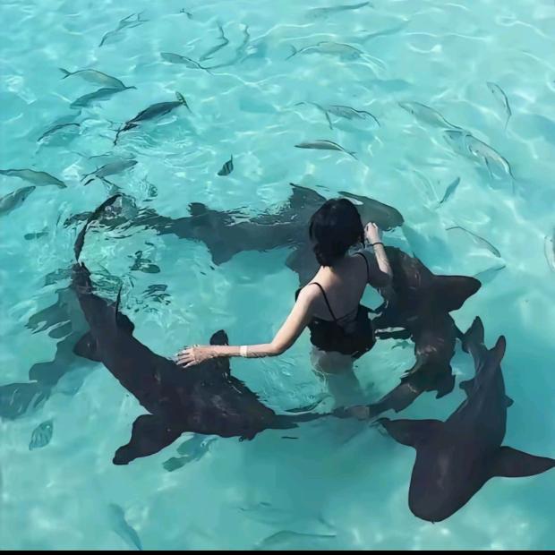 小小鱼汤