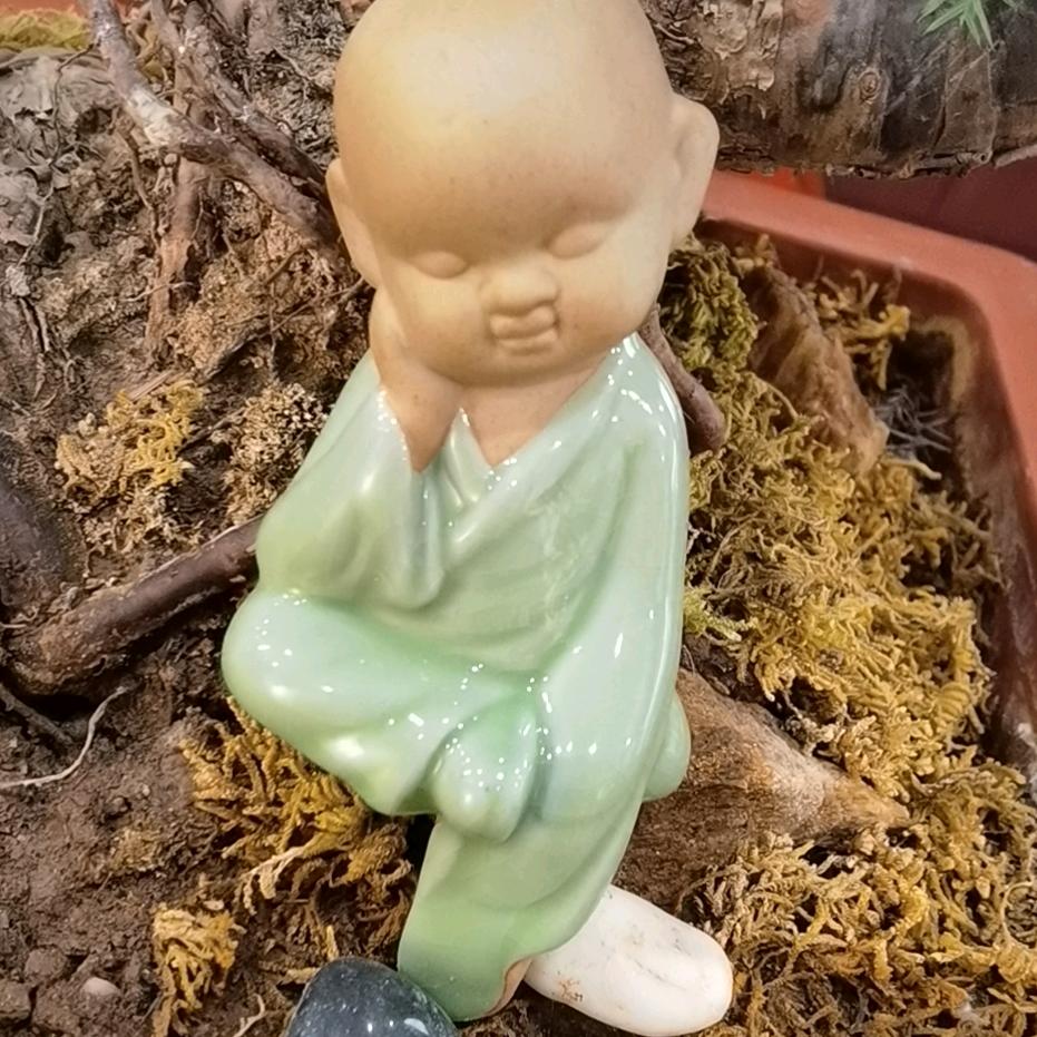 楓泩涚柒
