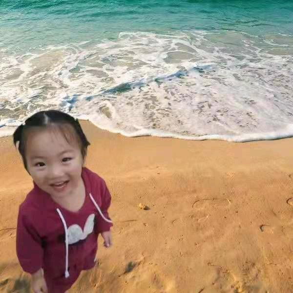 孟楼菊