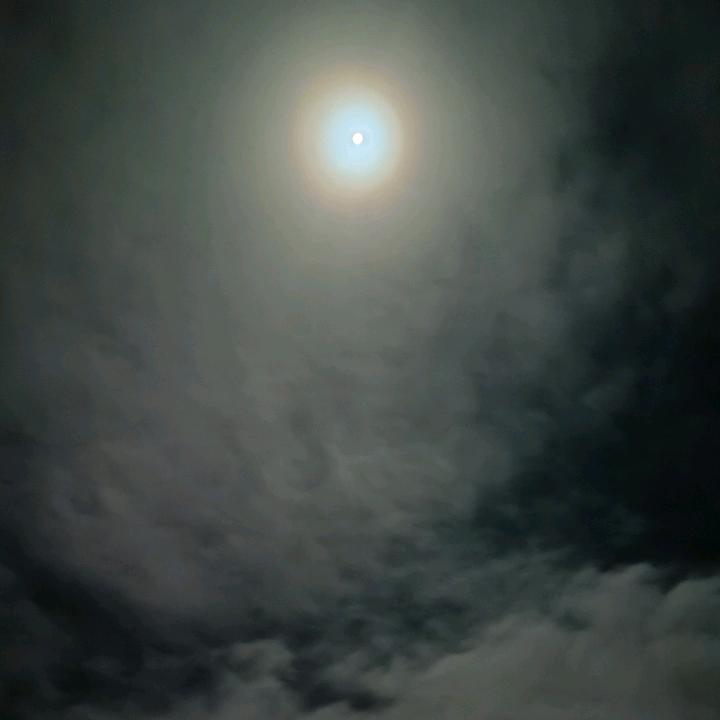 东东
