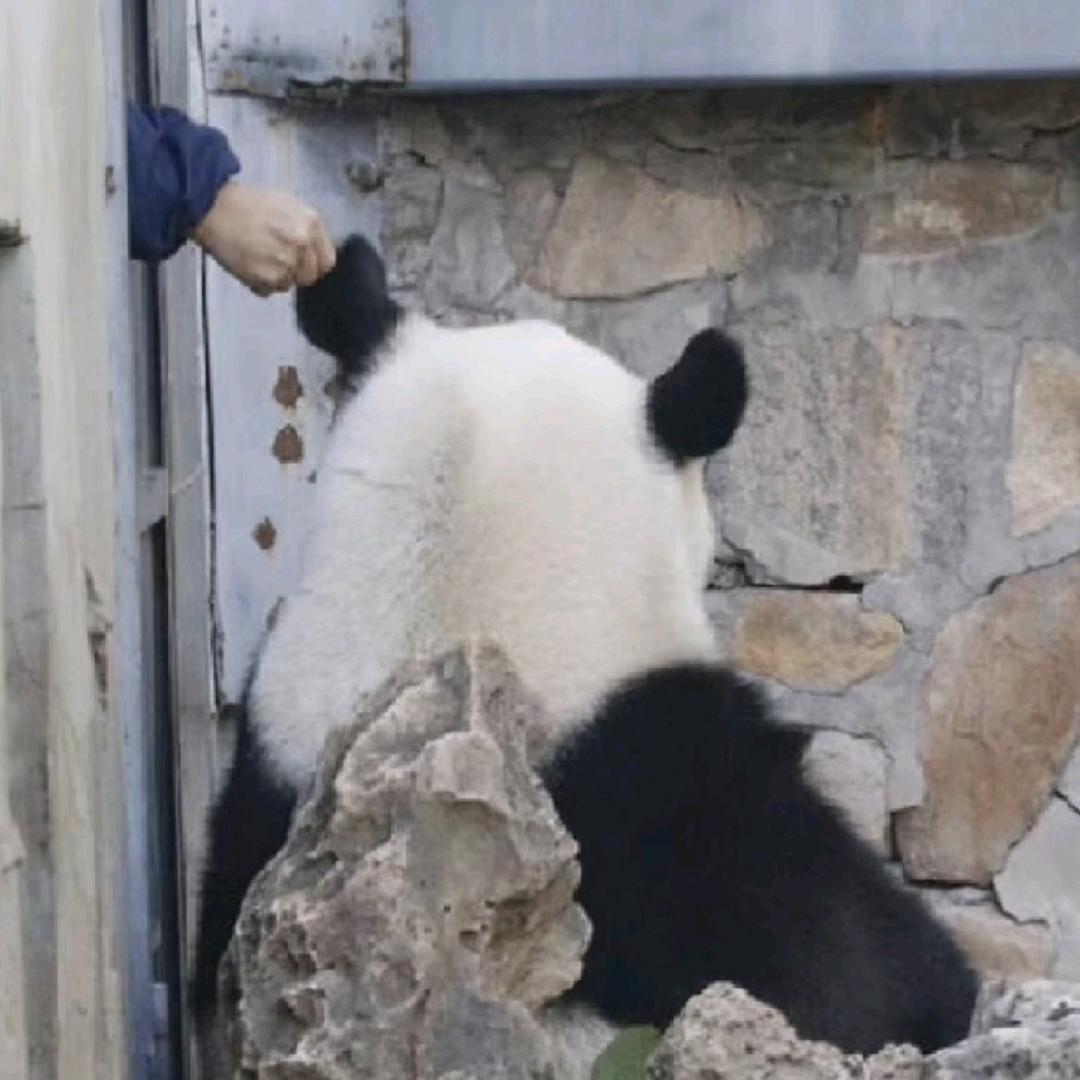 莫大侠丶