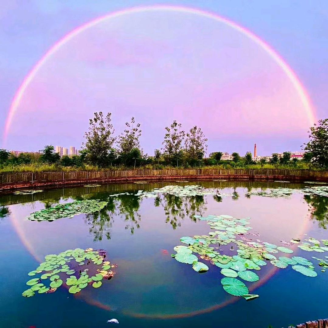 抱着月亮说晚安