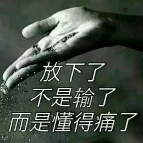 四    少😎
