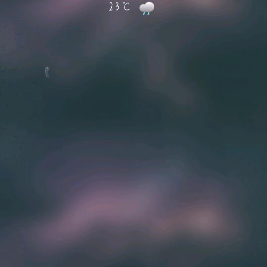 四爷