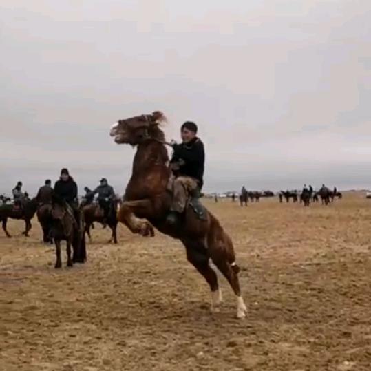 samuhaw