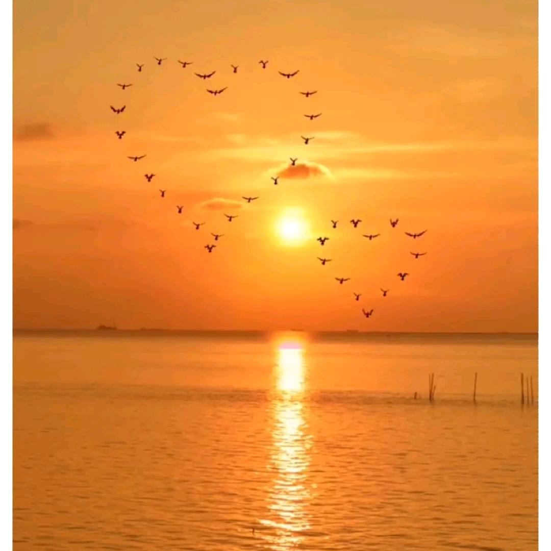 ^O^微风♥吹过^O^