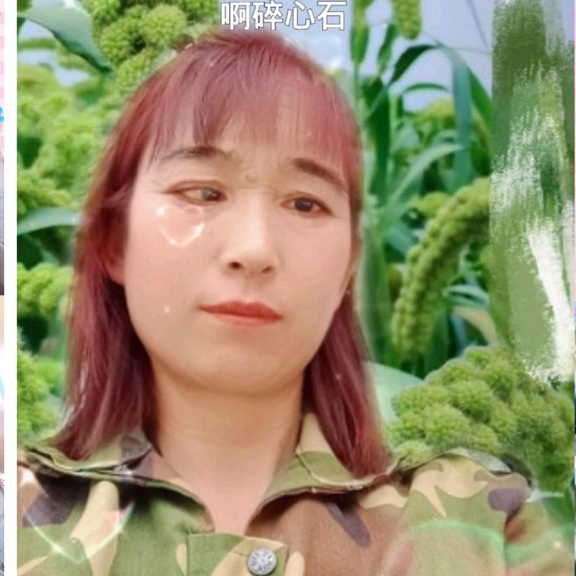 杨子琴
