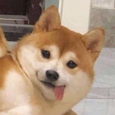 皮卡丘