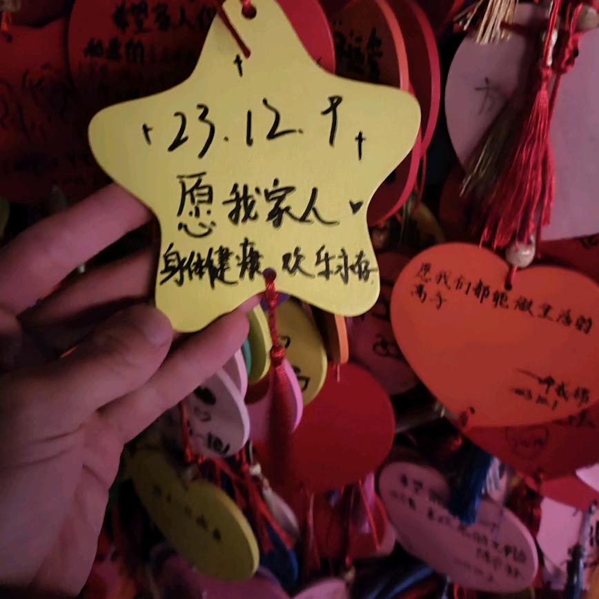 洋洋的老六行为