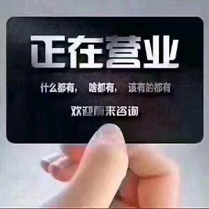 杜立伟