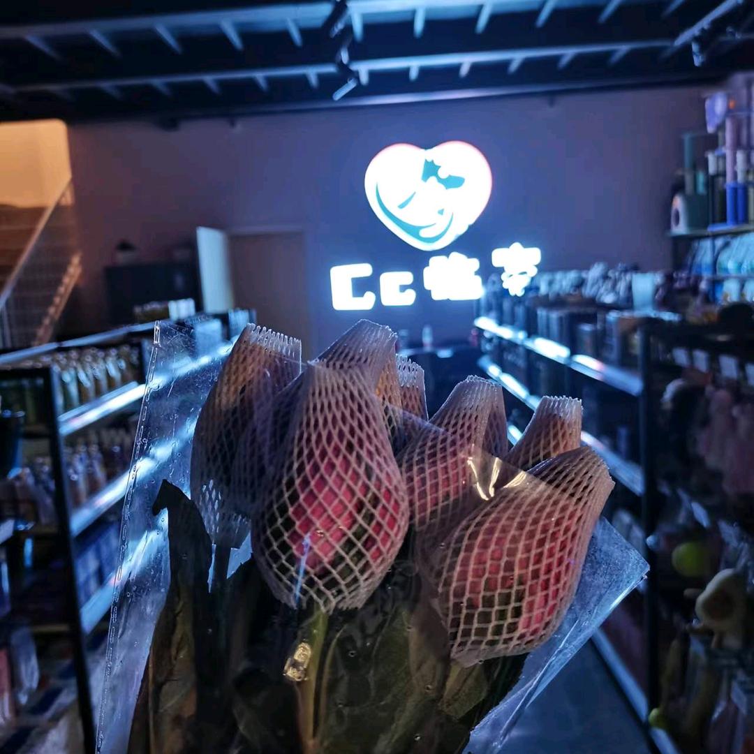 北屯CC临家萌宠星球