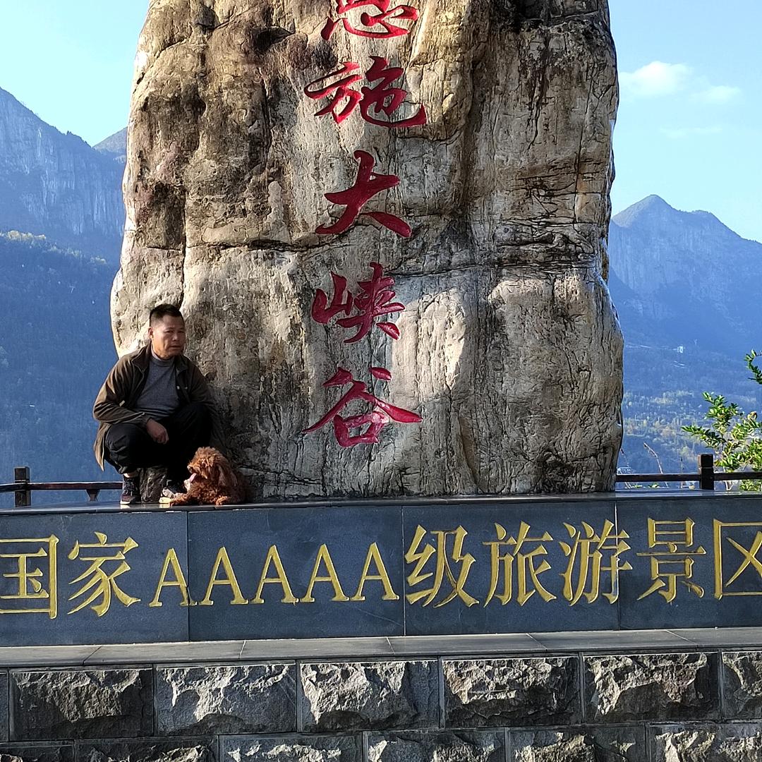 老张在流浪！