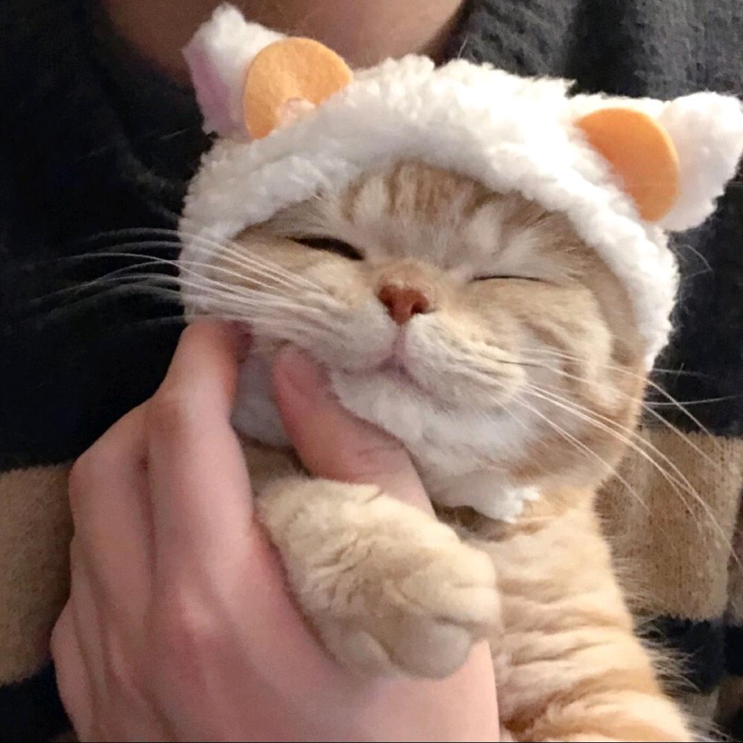 洛余相熠