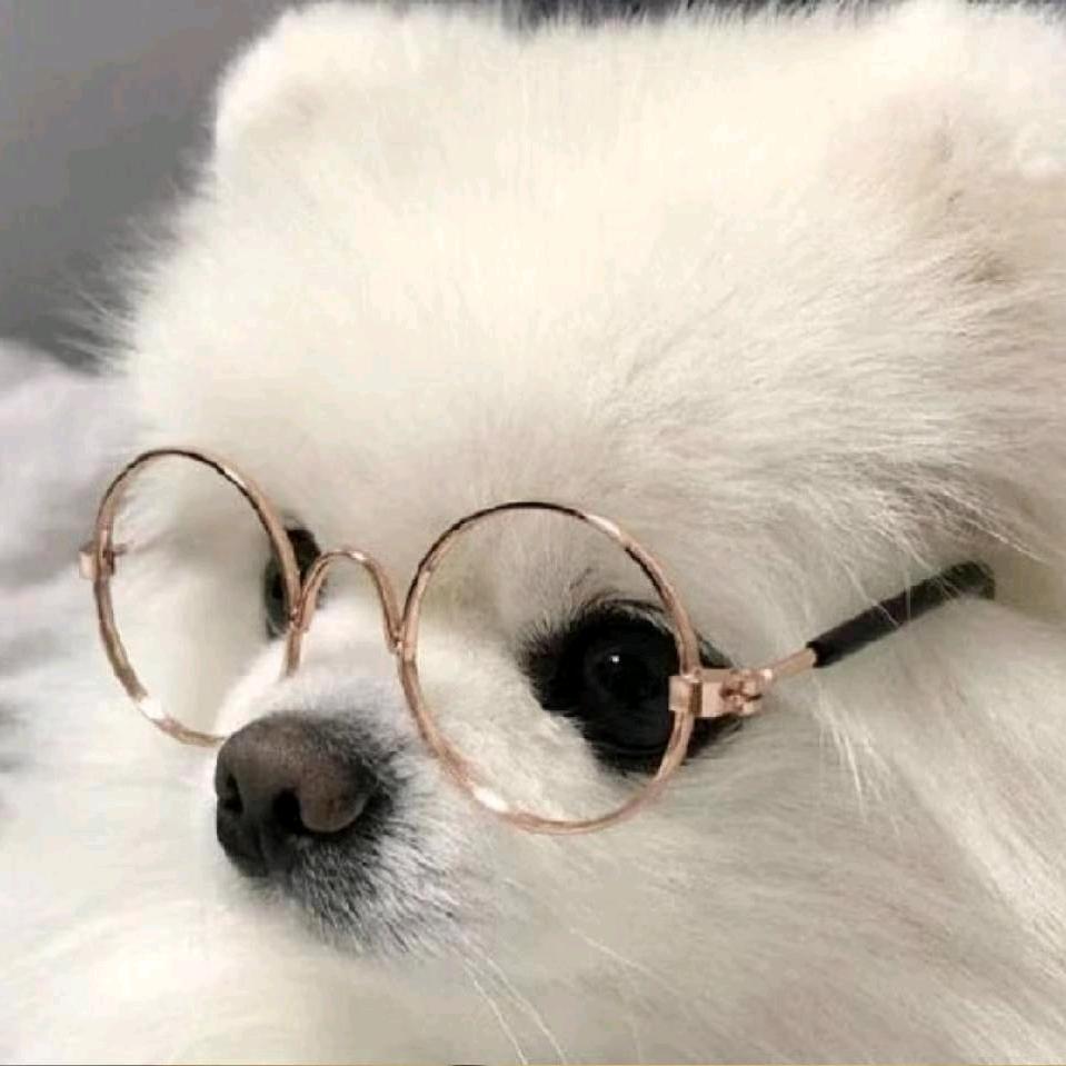 🌸🌈执笔画经年