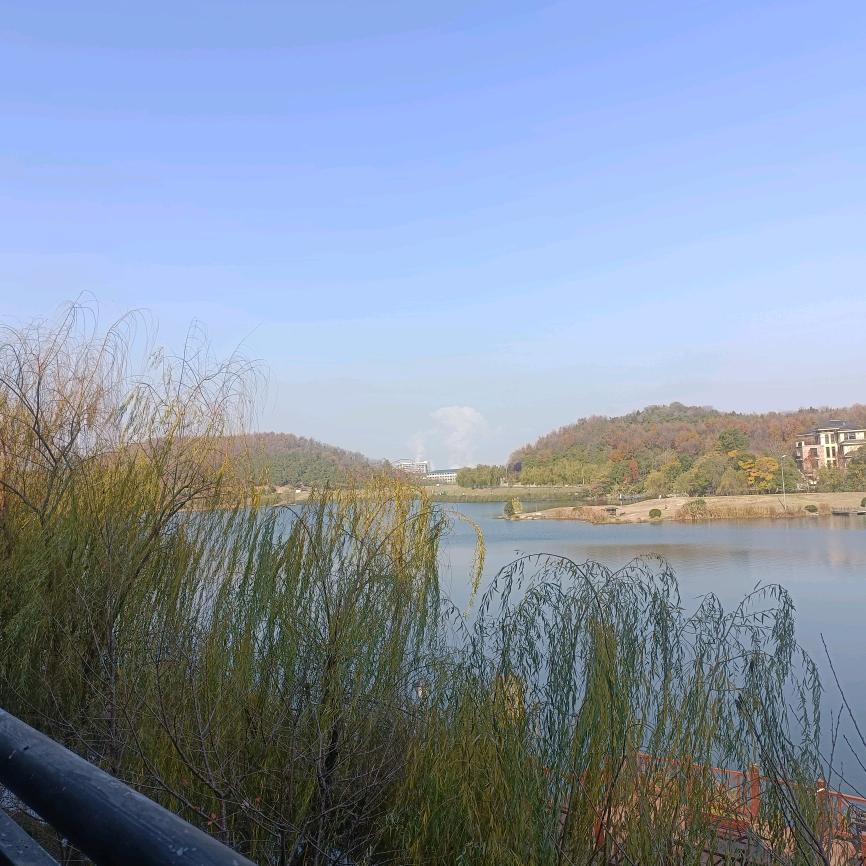 金姐看房联系我