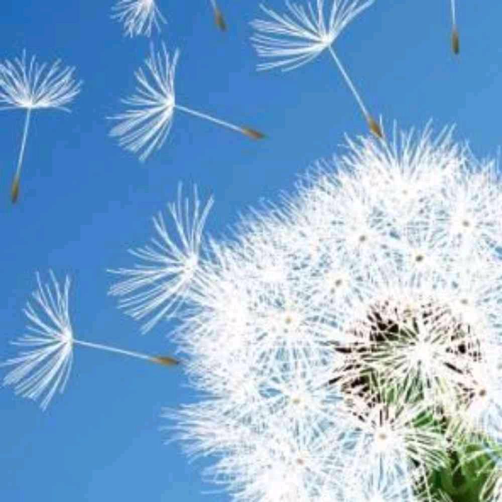清风予我