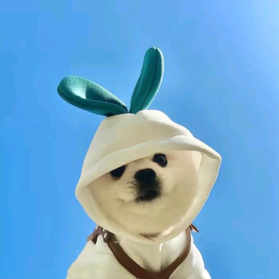 小彭