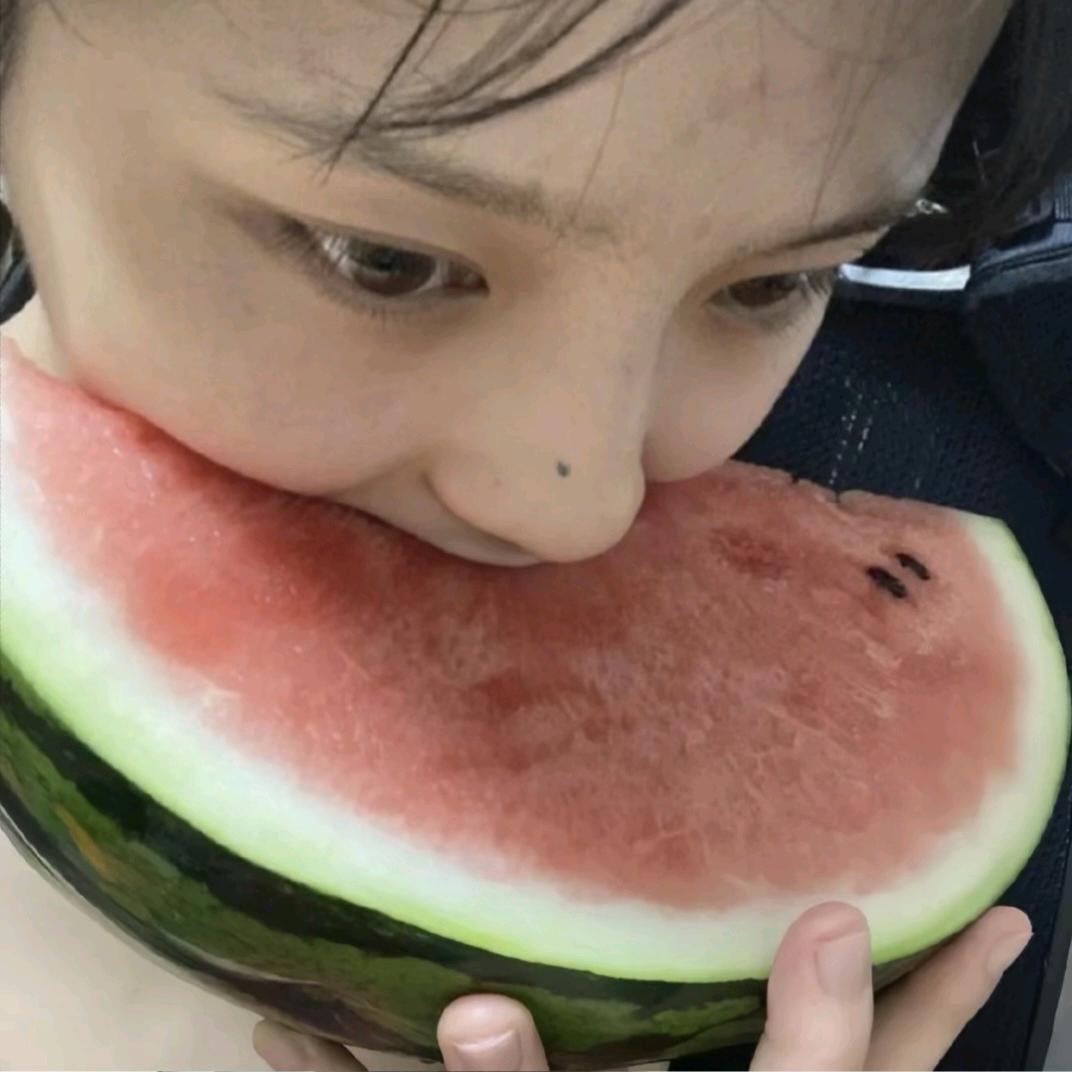 小鲨²