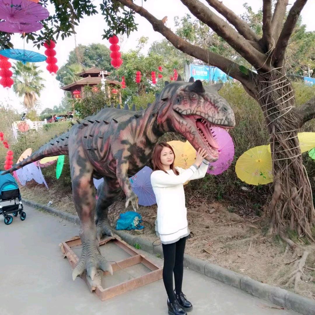 杨婷往后余生头像