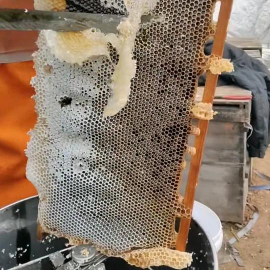 农产品——诚信第一，品质第一