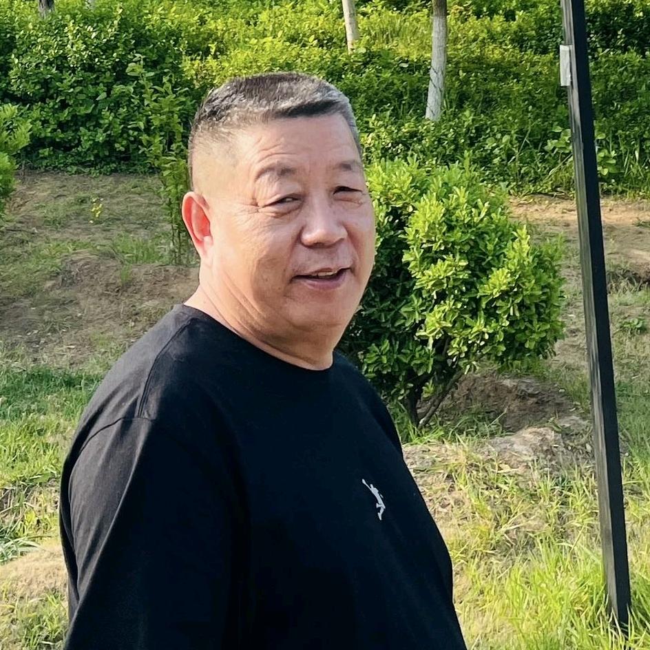 老杨油画